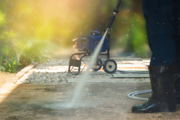 Animal Enclosure Cleaning in Baileyton, AL